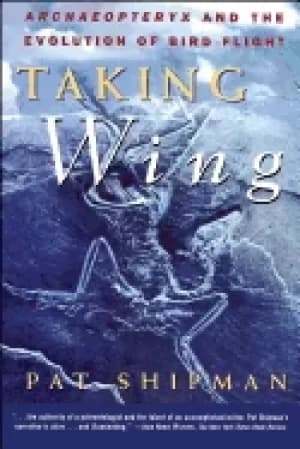 Image of taking wing archaeopteryx and the evolution of bird flight