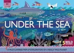 Image of layer by layer under the sea