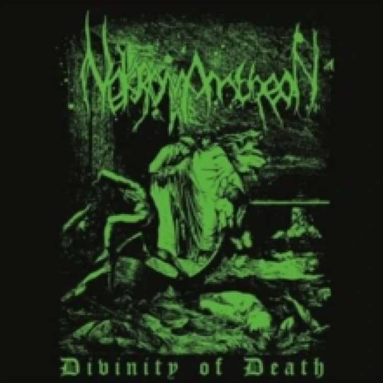 Image of Divinity of death Vinyl