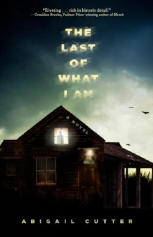 Image of The Last of What I Am : A Novel Paperback / softback