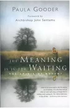 Image of The meaning is in the waiting by Paula Gooder