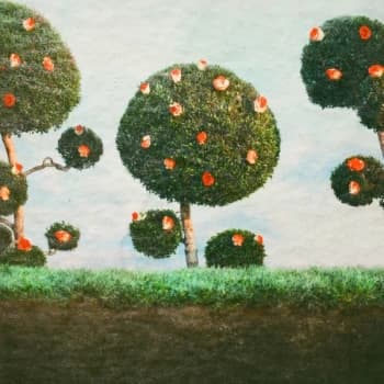 Image of Midnight Sister - Painting The Roses Vinyl
