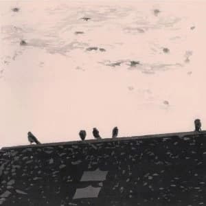 Image of Arrhythmia - Stuart Staples CD