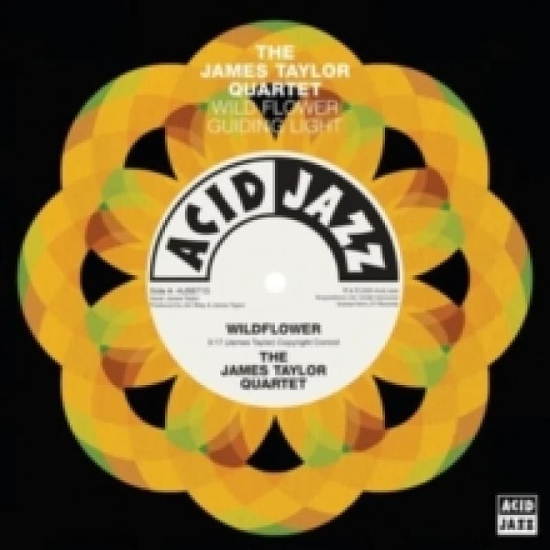 Image of Wildflower/Guiding Light Vinyl