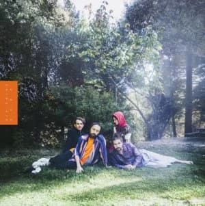 Image of UFOF by Big Thief CD Album