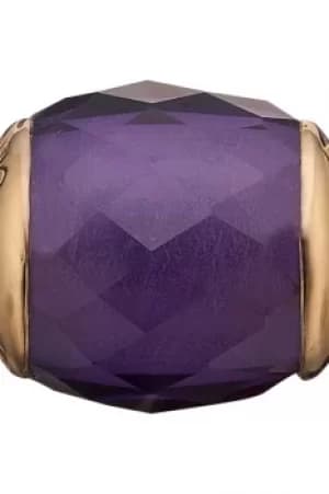 Image of Ladies Christina Sterling Silver Sterling Silver Precious Amethyst Bead Charm 623-G39