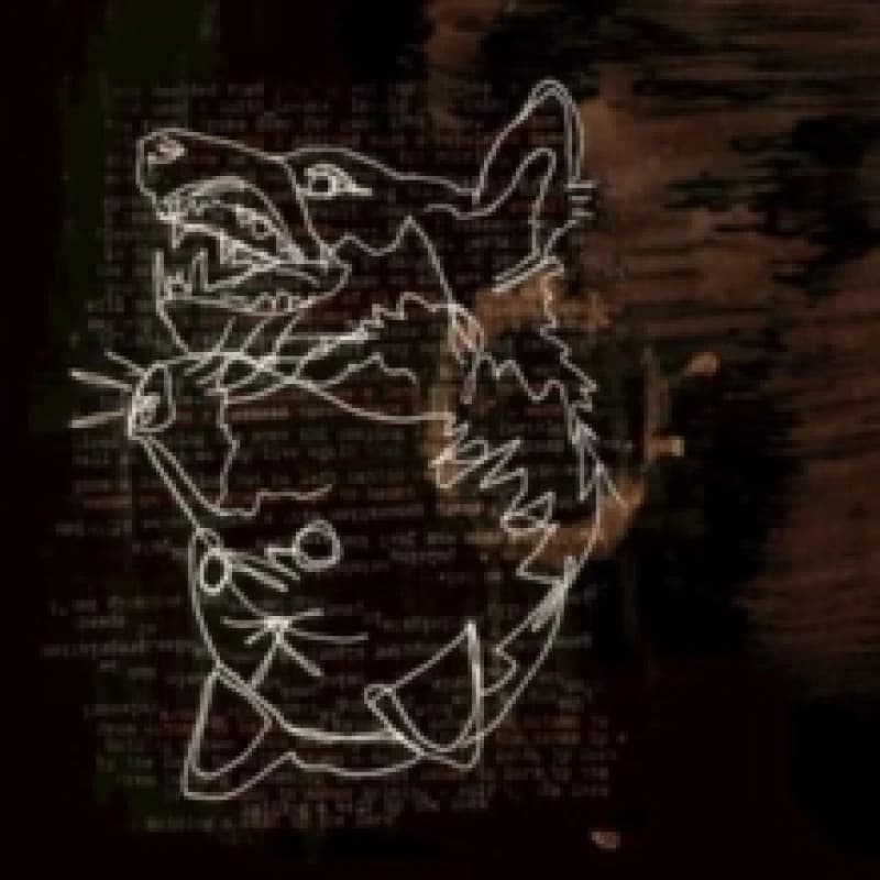 Image of Holding a Wolf By the Ears Vinyl