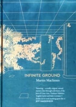 Image of Infinite Ground by Martin Macinnes Hardback