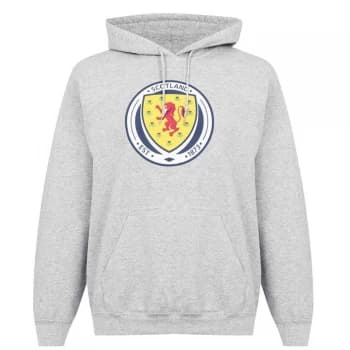 Image of Source Lab Logo Over The Head Scotland Hoodie - Grey