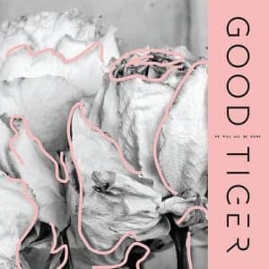 Image of We Will All Be Gone by Good Tiger CD Album