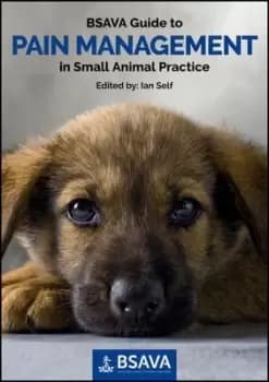 Image of BSAVA guide to pain management in small animal practice by Ian Self