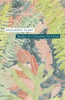 Image of Shadow of a Cloud but No Cloud by Killarney Clary Book