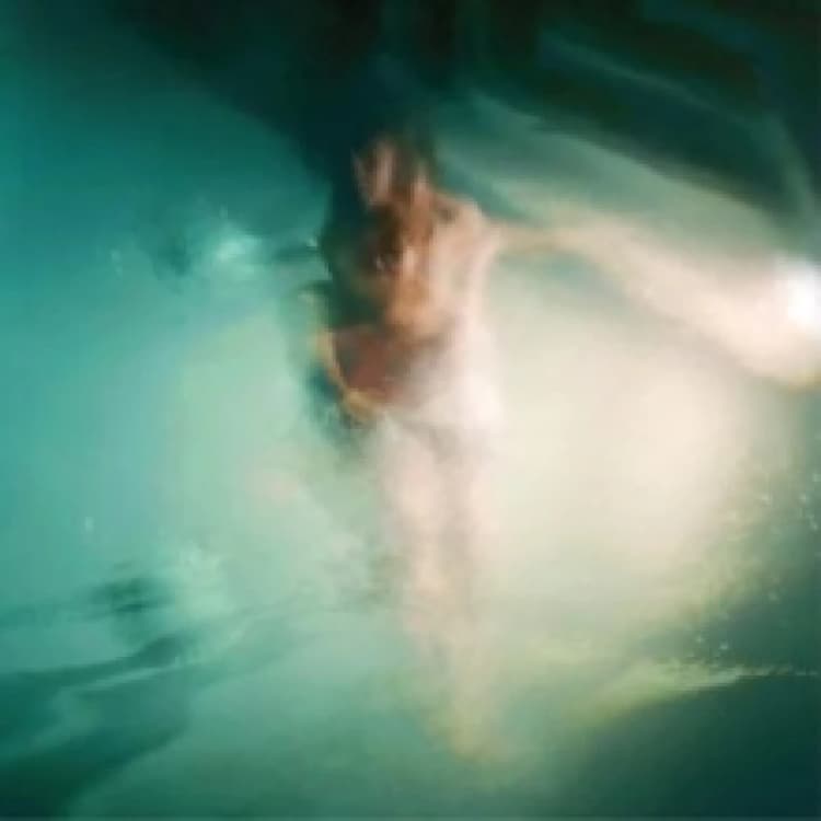 Image of Dog dreams Vinyl