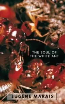 Image of The Soul of the White Ant