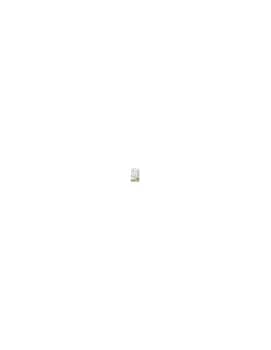 Image of Equilibra Baby Prot Pasta 100ml