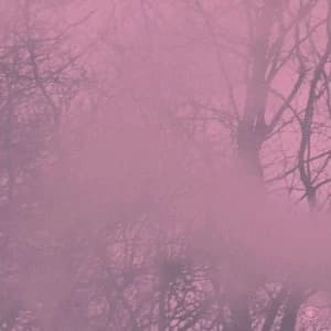 Image of Prins Emanuel - Diagonal Musik CD