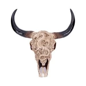 Image of Mythical Markings Carved Dragon Animal Skull