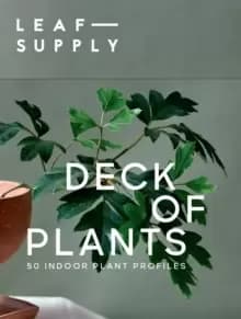 Image of Leaf Supply Deck of Plants : 50 Indoor Plant Profiles