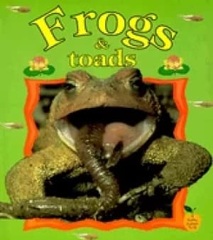 Image of frogs and toads