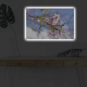 Image of 4570DHDACT-032 Multicolor Decorative LED Lighted Canvas Painting