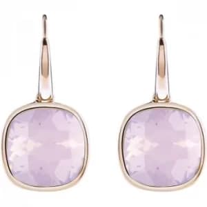 Image of Ladies Guess Rose Gold Plated Crystal Shades Earrings