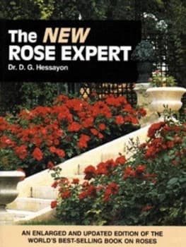 Image of The New Rose Expert Paperback