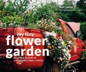 Image of My tiny flower garden by Matt Collins