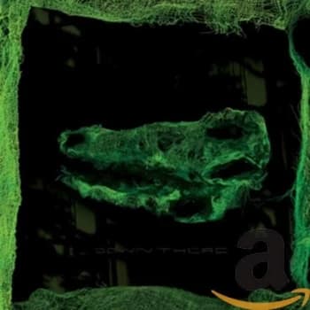 Image of Avey Tare - Down There CD