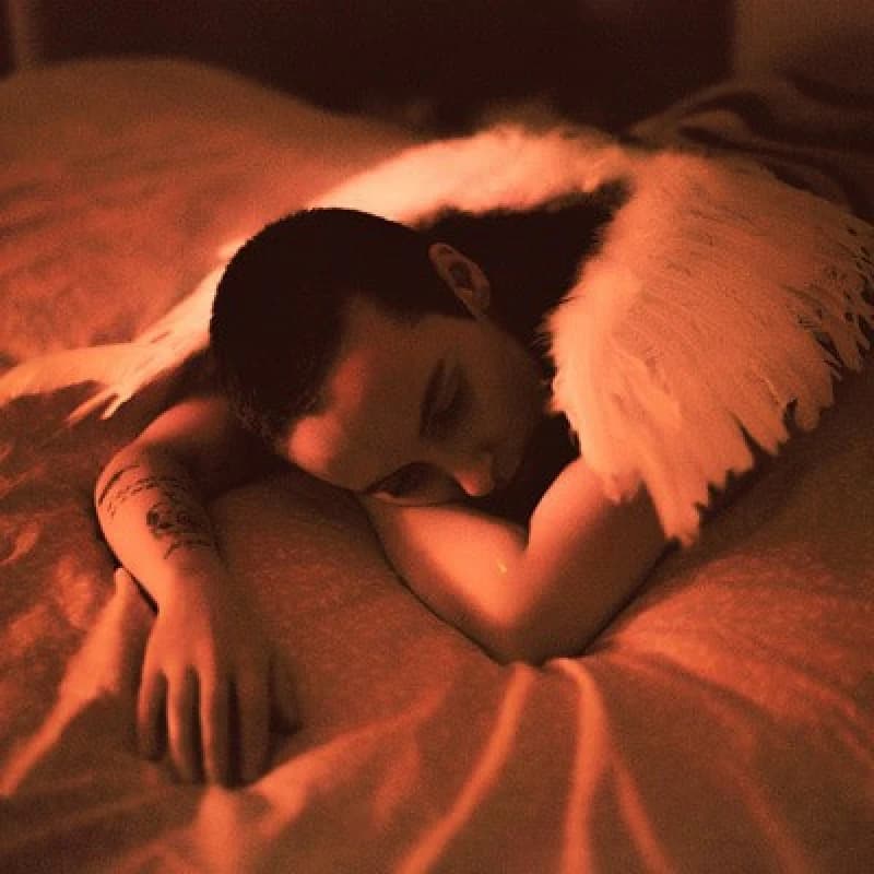 Image of Midnight Butterflies CD / Album