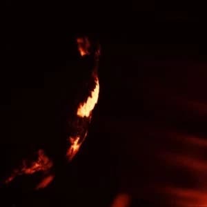 Image of Skepticism - Stormcrowfleet Vinyl