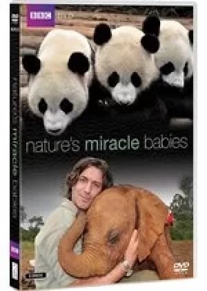 Image of Nature's Miracle Babies