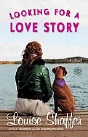 Image of looking for a love story a novel