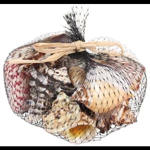 Image of 250grms Shells in Black Net