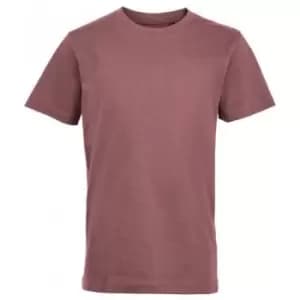 Image of SOLS Childrens/Kids Short-Sleeved T-Shirt (10 Years) (Ancient Pink)