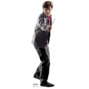 Image of Harry Potter Life Size Cut Out