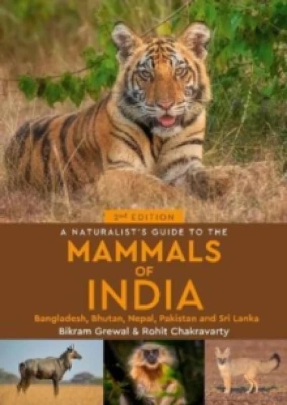 Image of A Naturalist's Guide to the Mammals of India Paperback / softback