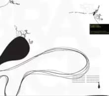 Image of Zebra Dance
