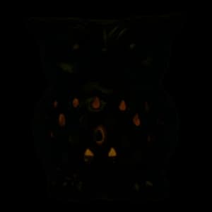 Image of Black Owl Oil Burner