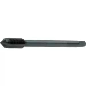 Image of EP11 M10X0.75 6H St HSS-XS1 Sp/Pt Machine Tap