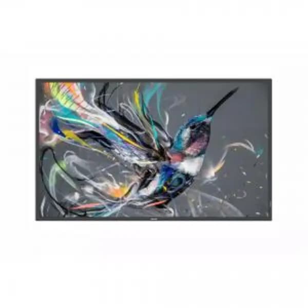 Image of 55BDL3650Q 55" 4K Ultra HD HDMI USB Display EXR8PH55BDL3650Q