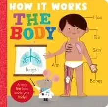 Image of How it Works: The Body