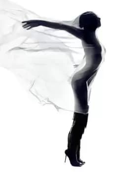 Image of Spirit of ecstasy by Rankin