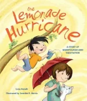 Image of lemonade hurricane a story of mindfulness and meditation