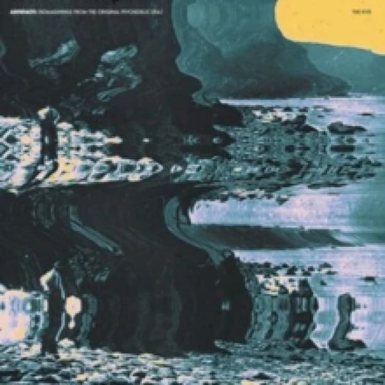 Image of Artefact Vinyl