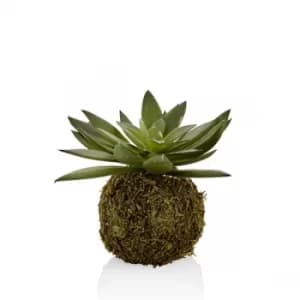 Image of CCK0118 Green Succulent Artificial Plant