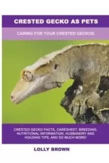 Image of Crested Gecko as Pets : Caring For Your Crested Geckos