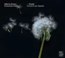 Image of Vivaldi: Concerti Per Fagotto