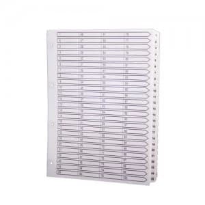Image of Exacompta A4 Index 160gsm 1-100 White