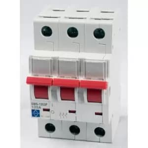 Image of Lewden Triple Pole Main Switch 100A EMS-1003P