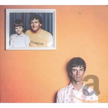 Image of Euros Childs - Situation Comedy CD